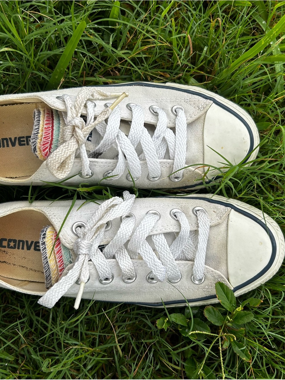 Converse woman’s' White Low Top Canvas Sneakers